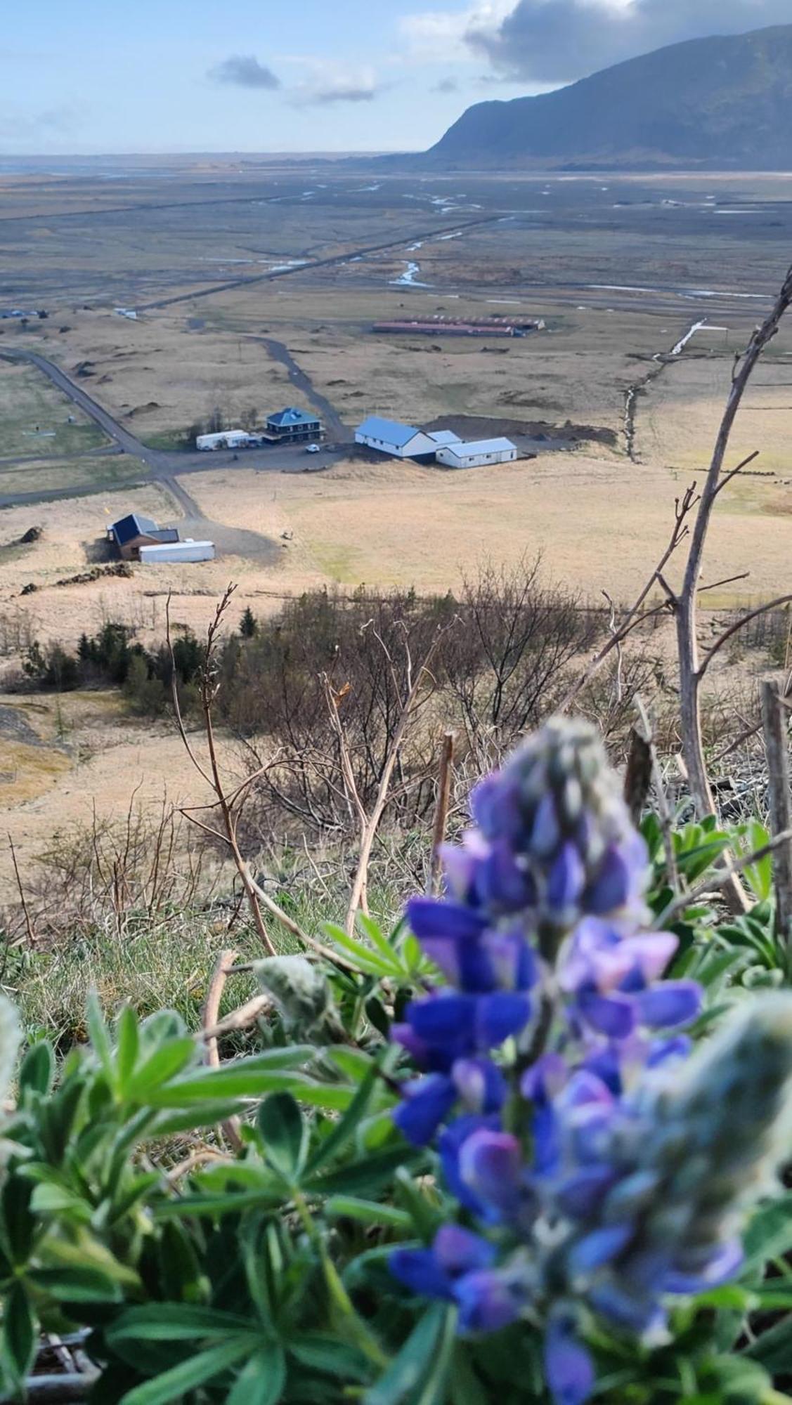 冰川世界 - 霍费尔住宿加早餐旅馆 霍费德 外观 照片
